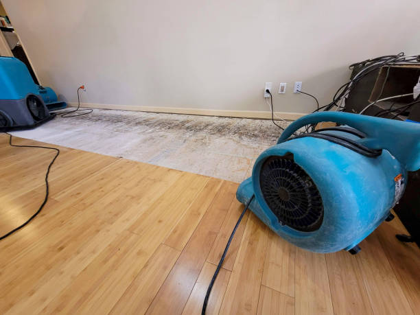 Professional Basement Flood Cleanup technician working in Hayward, CA